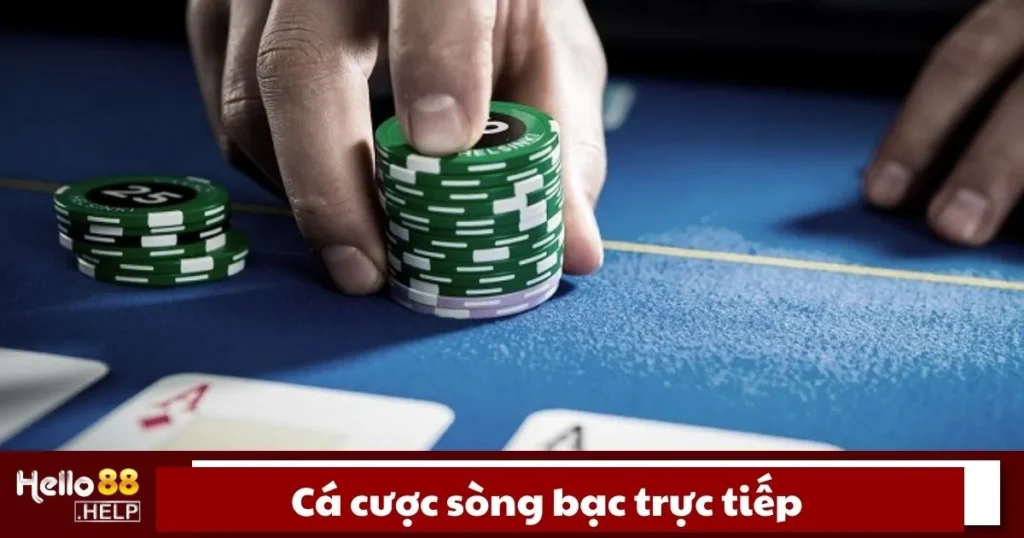 Cá Cược Sòng Bạc Trực Tiếp Là Gì? Cách Chơi Tại Hello88