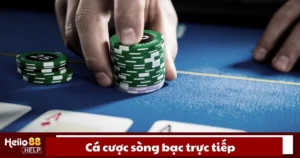 Cá Cược Sòng Bạc Trực Tiếp Là Gì? Cách Chơi Tại Hello88