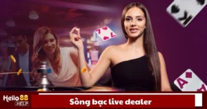 Sòng Bạc Live Dealer Là Gì? Cách Chơi Chi Tiết Tại Hello88