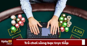 Trò Chơi Sòng Bạc Trực Tiếp Là Gì? Cách Tham Gia Tại Hello88