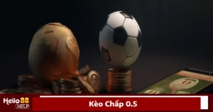 Giải thích về kèo chấp 0.5 (½ trái) trong bóng đá
