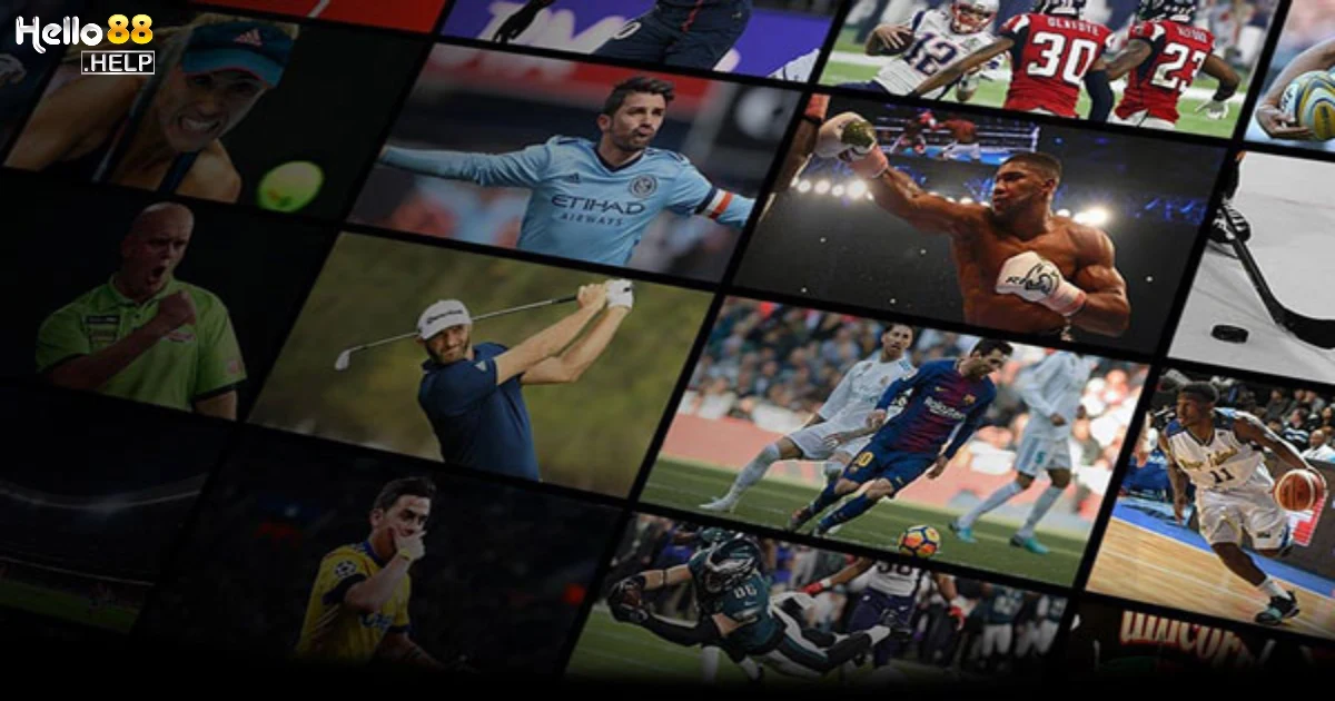 Kèo Chấp 2 2.5 Là Gì? Cách Đọc Kèo Hiệu Quả Trên Hello88 2 Kèo chấp 2 2.5 là gì?